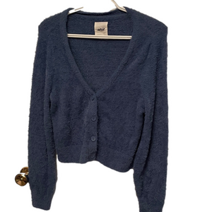 Aerie V-Neck Blue Cardigan Size Small